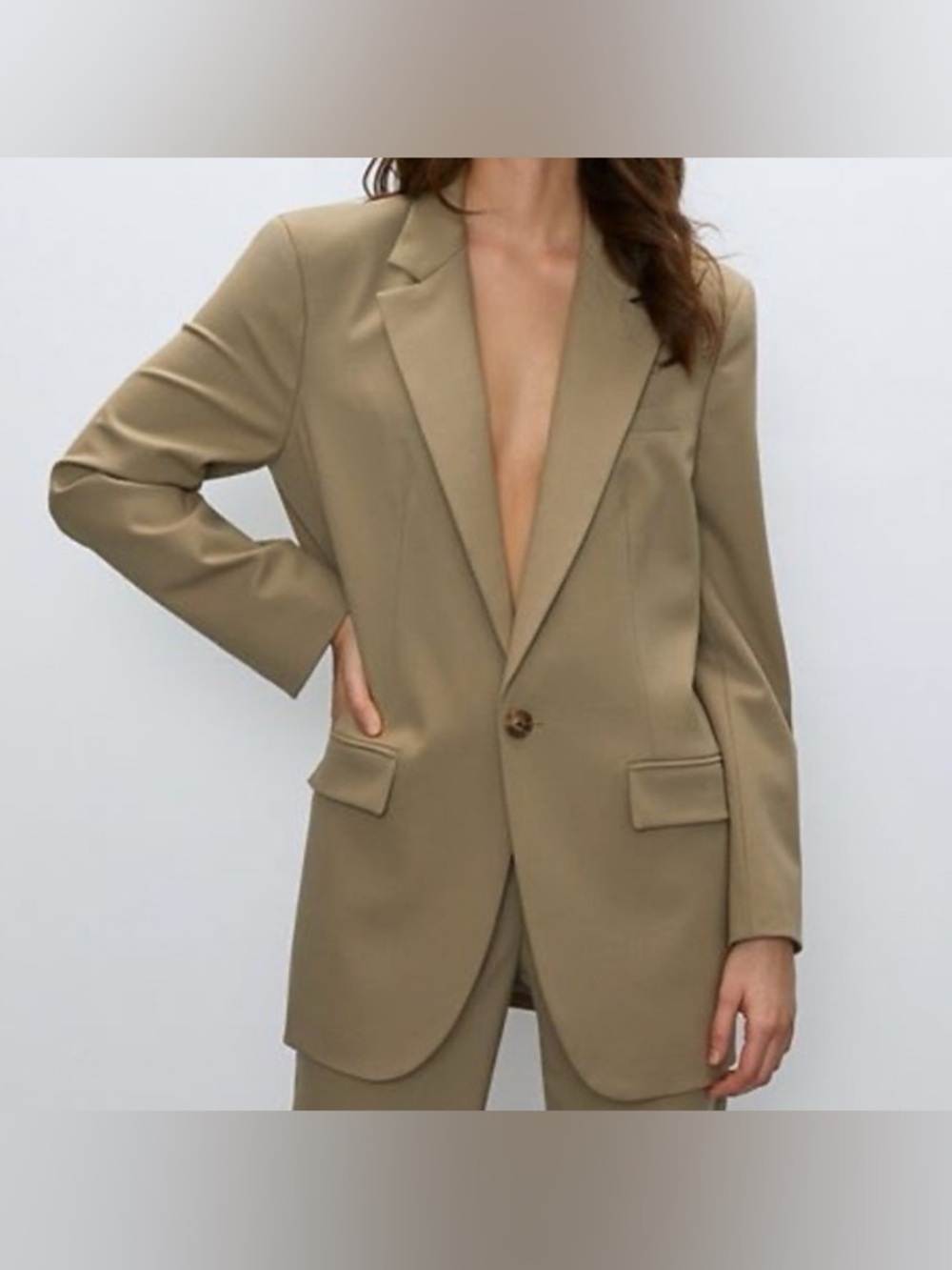 Aritzia Babaton Agency Blazer